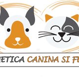 Cosmetica Canina si Felina la domiciliu